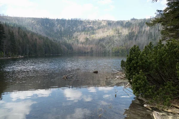 Krásné Přírodní Jezero Chráněné Krajinné Oblasti Národního Parku Šumava — Stock fotografie