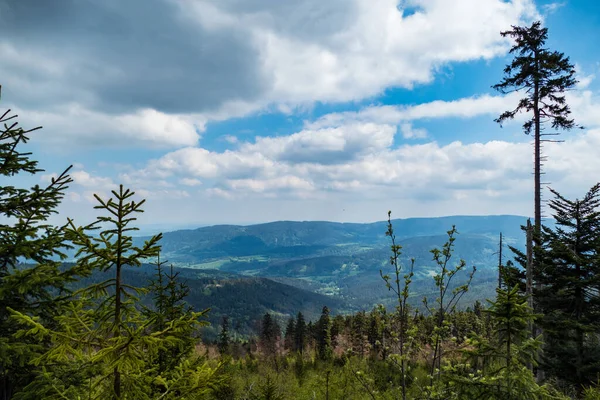 Güney Bohemya 'daki Czech cumhuriyetindeki ulusal park sumavasında güzel doğal manzara.