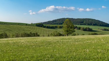 Güney Bohemya 'daki Czech cumhuriyetindeki ulusal park sumavasında güzel doğal manzara.