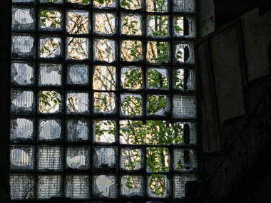 Kırık camları olan terk edilmiş bir kır evinin yıkıntılarını araştırıyorum.