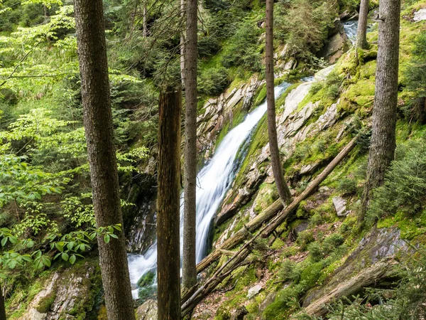 Дикий Водопад Небольшой Крикин Лес — стоковое фото