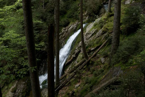 Wild Waterfall Small Creekin Forest — Stock Photo, Image