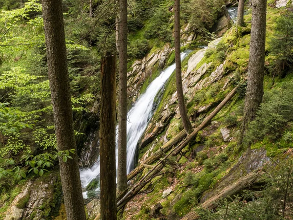 森の中の小さな小川の上の滝 — ストック写真