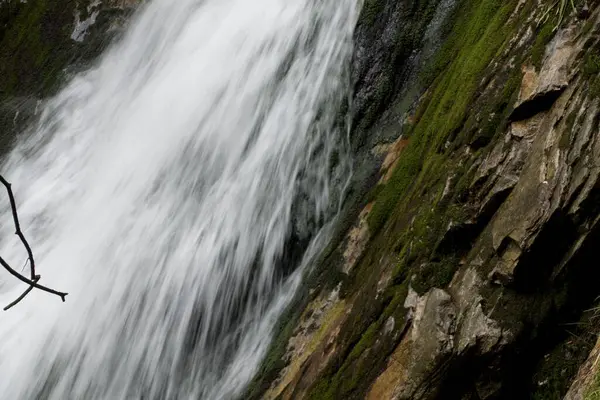 Cascade Sauvage Sur Petit Creekin Forêt — Photo