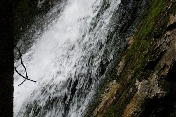 Wilder Wasserfall Einem Kleinen Bach Wald — Stockfoto