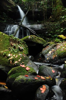 Mun Daeng şelale, Tayland Ulusal Parkı 