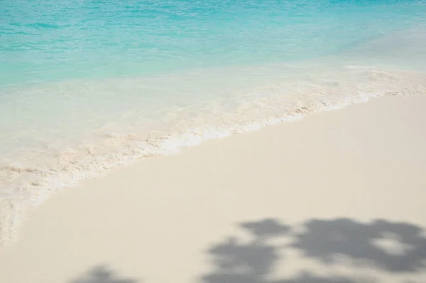 Sombra de árbol en hermosa playa — Foto de Stock