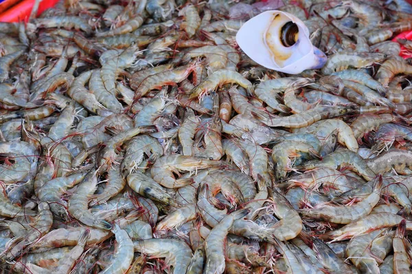 Sabah Pazar taze karides