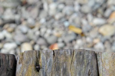 Eski ahşap doku izole taş dokulu ve