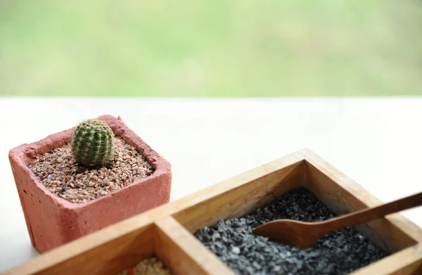 Vassoio di graniglia colorata per vaso di piante con vaso di cactus Fotografia Stock