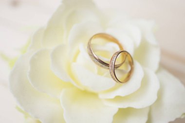 Çiçekteki alyanslar