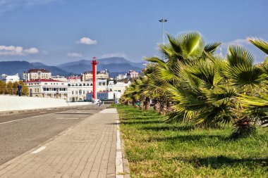 Palmiye ağaçları ve bir deniz feneri
