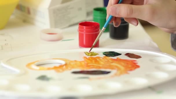 Artist Mixes Paints Palette — Stock Video