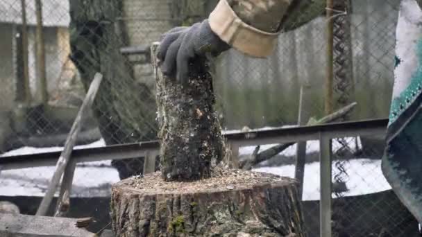 Holzfäller Hacken Holz Mit Der Axt — Stockvideo