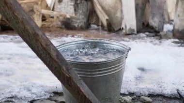 Su bir kovaya damlıyor. Yağmurdan sonra damlalar damlar damlar.