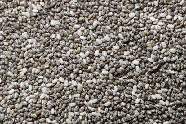 Beyaz arkaplanda Chia tohumları — Stok fotoğraf