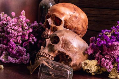 Kafatası çiçekler, şarap cam ve ahşap zemin üzerinde yer