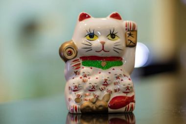 Şanslı kedi arka plan bulanık.