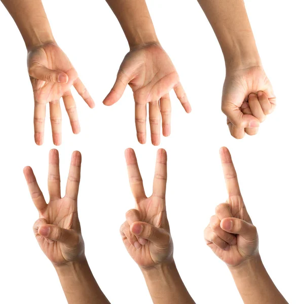 Mãos femininas isoladas no fundo branco — Fotografia de Stock