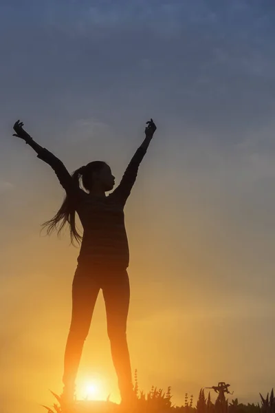 Silhouet van gelukkige mensen in de zonsondergang — Stockfoto