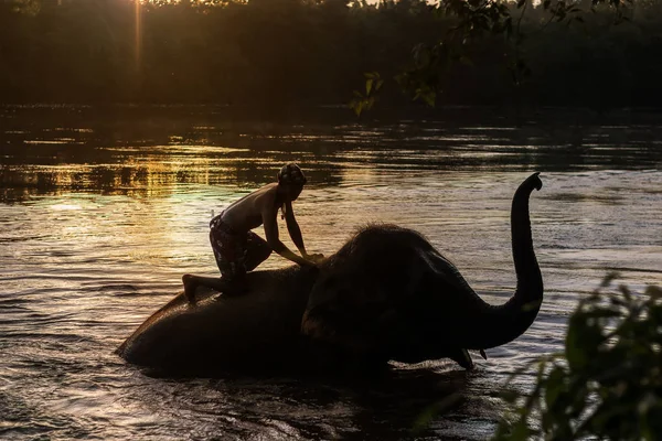 Kanchanaburi, Thailand - 3 September, 2017: de olifanten zijn bathi — Stockfoto