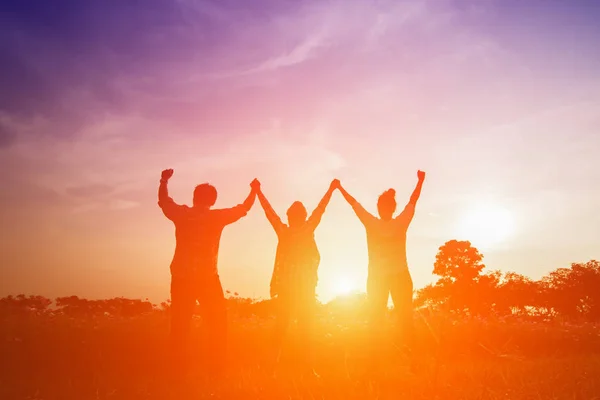 Imagen de silueta de la familia feliz haciendo altas manos en la puesta del sol — Foto de Stock