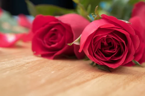 Rose on wooden background for valentine 's day concept — стоковое фото