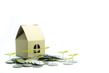 Sikke ve beyaz arka plan üzerinde kağıt evi 