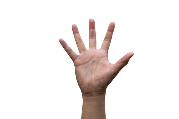 Mão Humana Isolar Branco — Fotografia de Stock