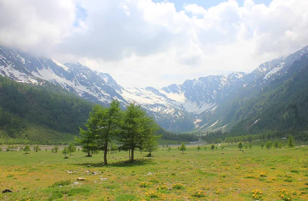 山前的草地 — 图库照片