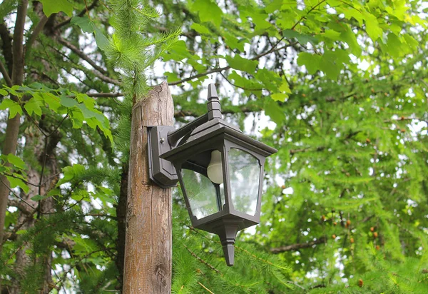 Pouliční lampa v lese — Stock fotografie