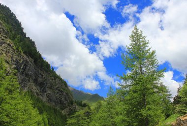 kayalar, ağaçlar ve bulutlar ile manzara