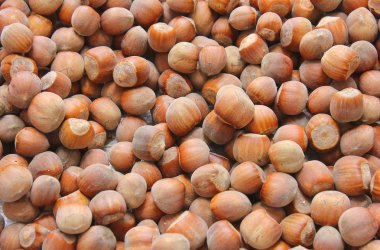 arka plan ile fındık