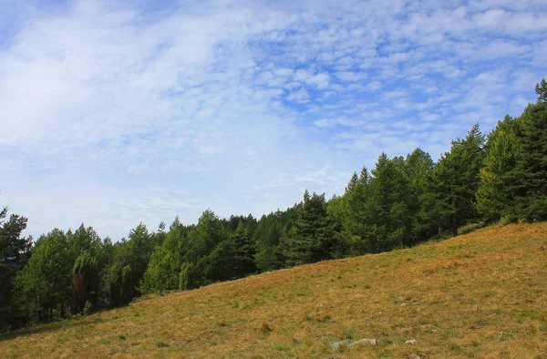 dağ bulutlar Panoraması ile ormanda
