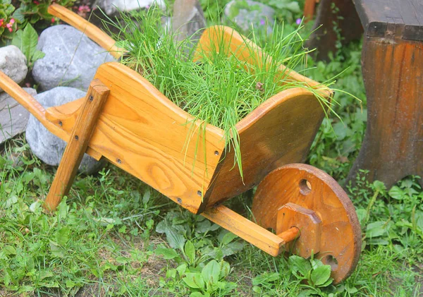 Carrinho de mão de madeira com grama — Fotografia de Stock