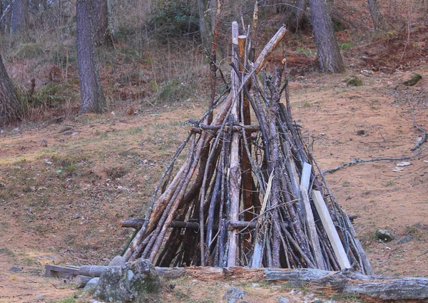 Holzhütte im Wald — Stockfoto