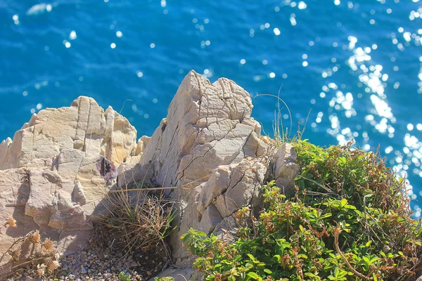 Скелі та рослинність перед морем — стокове фото