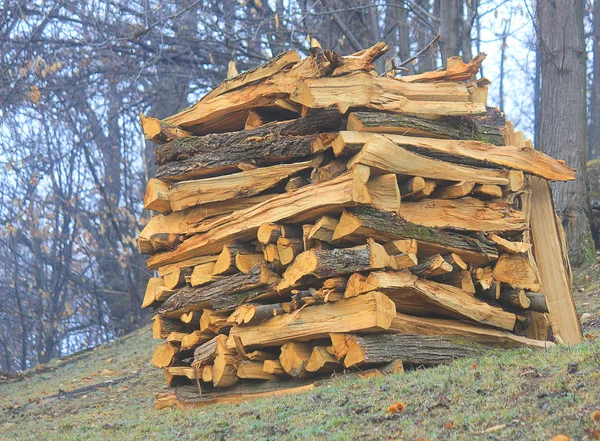 Wooden logs in the field — Stock Photo, Image