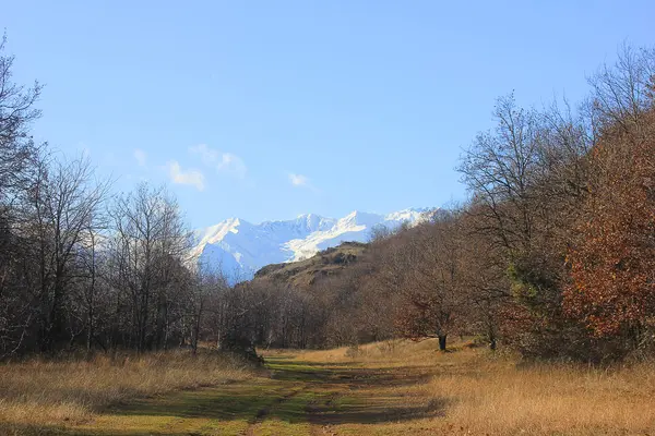 Panorama met bos en bergen — Stockfoto