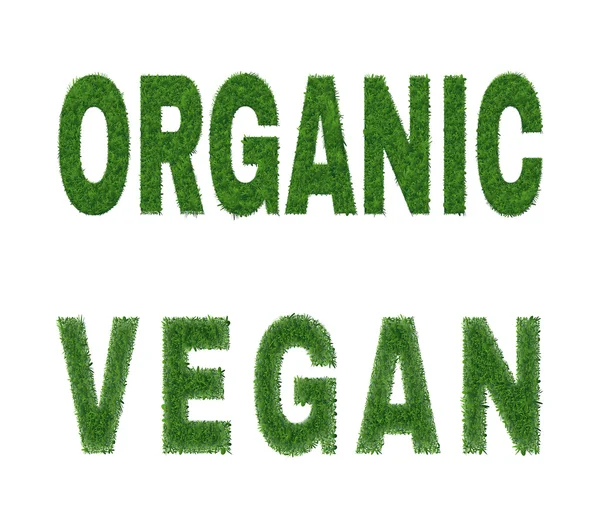 Organic vegan design — Stock Vector