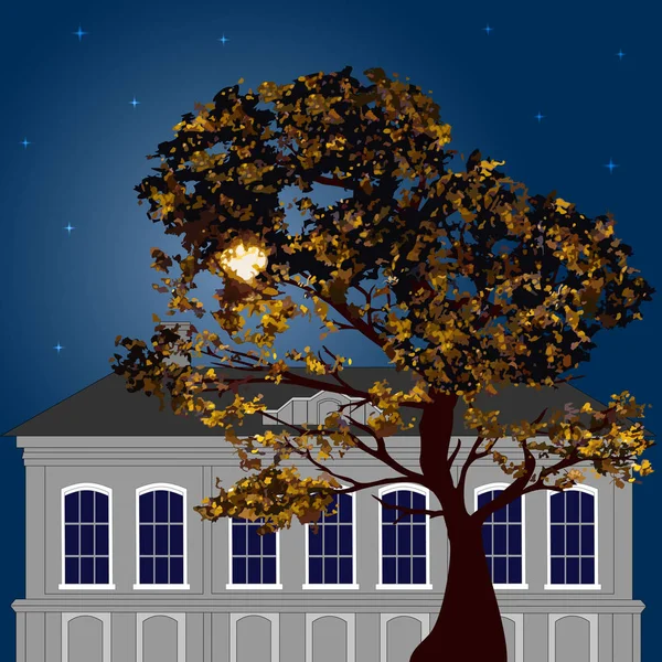 Осенняя лунная ночь в городе — стоковый вектор