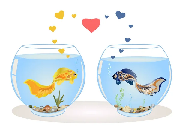 Ζευγάρι των ψαριών στην αγάπη — Διανυσματικό Αρχείο