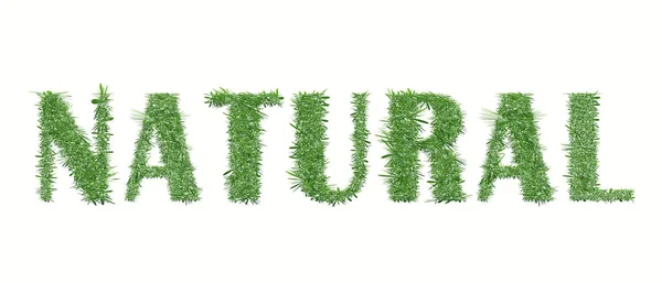 Ekologia natura projekt. Naturalne — Wektor stockowy