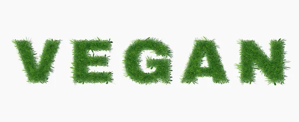 Ecología diseño de la naturaleza. Vegano — Vector de stock