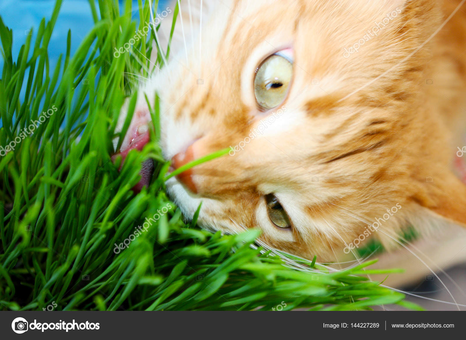 Spring avitaminosis. Do you have it Spring avitaminosis. Do you have it