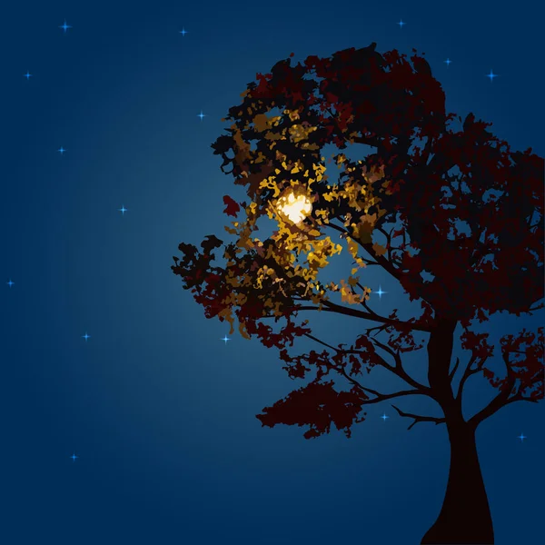 Осеннее дерево на фоне лунной ночи и звездного неба . — стоковый вектор
