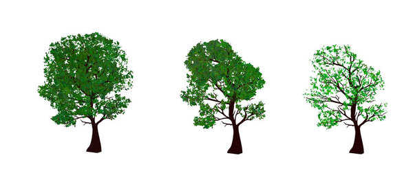 Набор летних и весенних деревьев
.