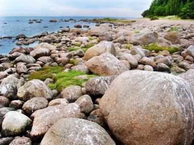 Kuzey Denizi'nin sahilde taş kayalar.