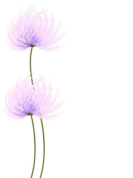 Květinové pozadí s chryzantémy, designový prvek. — Stockový vektor