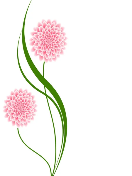 Fondo floral con dalias rosadas . — Vector de stock